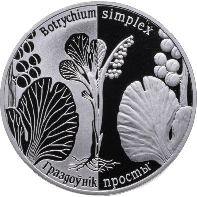 купить Беларусь 1 рубль 2014 Возрожденные растения - Гроздовник простой