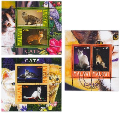 купить Малави марки набор 3 квартблока "Коты и кошки" 2010