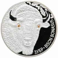 Купить Беларусь 20 рублей 2012 «Зубр»