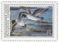Купить 15 копеек 1990 "Обыкновенный гоголь на фоне водоема"