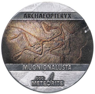 купить Остров Ниуэ 5 центов 2021 "Ископаемые на метеорите: Археоптерикс" с сертификатом