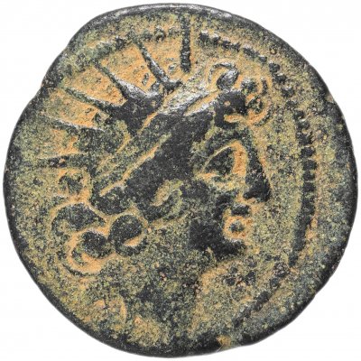 купить Селевкиды, Антиох VIII, 121-96 годы до Р.Х., АЕ19.