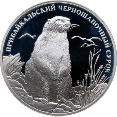 купить 2 рубля 2008 СПМД прибайкальский черношапочный сурок