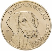 Купить Венгрия 2000 форинтов (forint) 2019 "Собака Венгерская выжла"