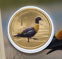 купить Тувалу 1 доллар (dollar) 2013 "Австралийские Водяные Птицы - Австралийский огарь (Tadorna tadornoides)" (в конверте с маркой)
