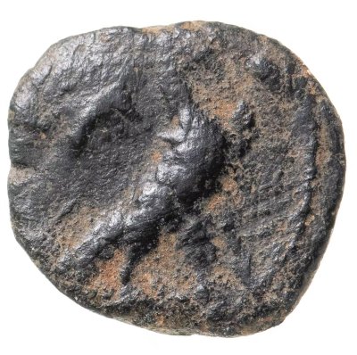 купить Государство Селевкидов, Деметрий II Никатор (129-125 до.н.э) , АЕ14.