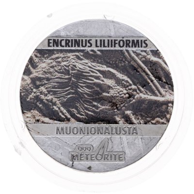 купить Остров Ниуэ 5 центов 2021 "Ископаемые на метеорите: Энкрин морская лилия" с сертификатом