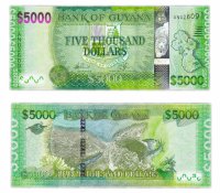 Купить Гайана 5000 долларов 2013 (Pick 40)