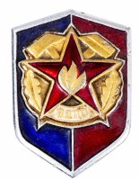 Купить Значок СССР 1976-1984гг "ВДПО", Булавка