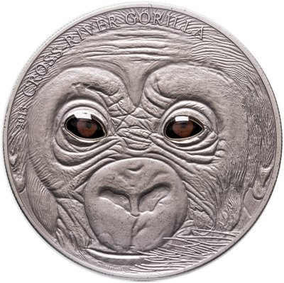 купить Камерун 1000 франков 2013 "Горилла Кросс-Ривер глаза", в футляре с сертификатом