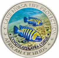 Купить Малави 5 квача 2010 Озеро Ньяса Африканские цихлиды