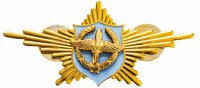 купить Знак Рота Почетного караула ВВС РФ