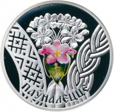 купить Беларусь 20 рублей 2010 «Совершеннолетие»