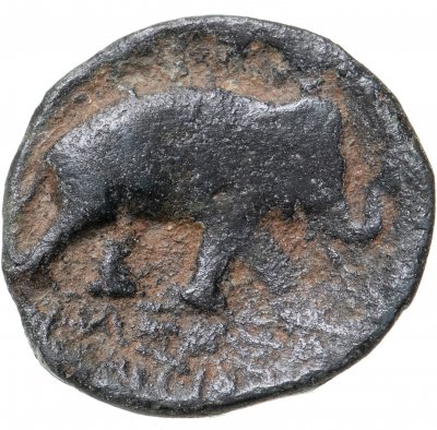 купить Государство Селевкидов, Антиох III Великий, 222-187 годы до Р.Х.,АЕ18.