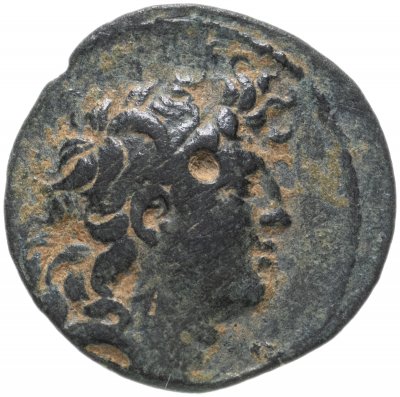 купить Селевкиды, Трифон, 142-138 годы до Р.Х., АЕ19.