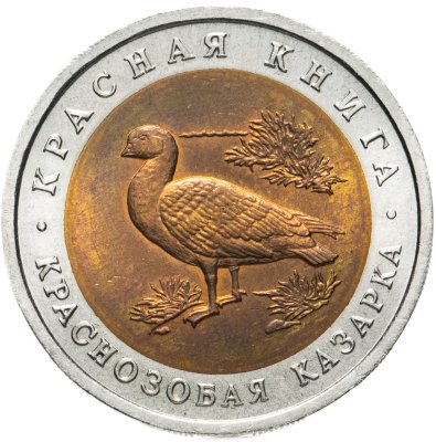 купить 10 рублей 1992 ЛМД краснозобая казарка