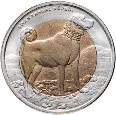 купить Турция 1 лира 2010 "Фауна Турции - Собака"