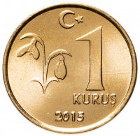 купить Турция 1 куруш (kurus) 2015