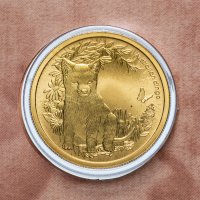 купить Австралия 1 доллар (dollar) 2011 "Детёныши диких животных - Динго" (в конверте с маркой)