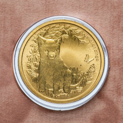 купить Австралия 1 доллар (dollar) 2011 "Детёныши диких животных - Динго" (в конверте с маркой)