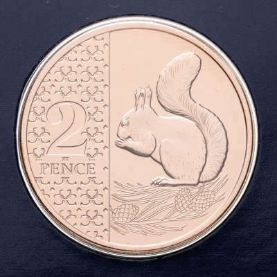 купить Великобритания 2 пенса 2023 "Белка", в буклете