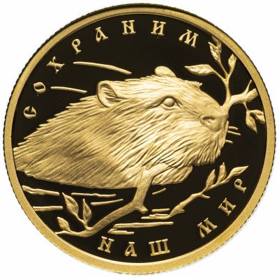 купить 50 рублей 2008 ММД Proof речной бобр "Сохраним наш мир"