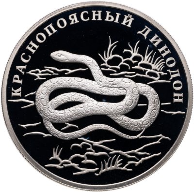 купить 1 рубль 2007 СПМД Proof "Красная книга - краснопоясный динодон"