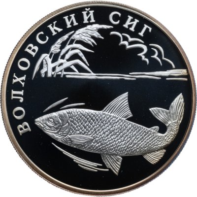 купить 1 рубль 2005 СПМД волховский сиг