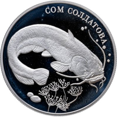 купить 2 рубля 2014 ММД сом Солдатова