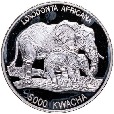купить Замбия 5000 квач 1999 «Слониха и слоненок»