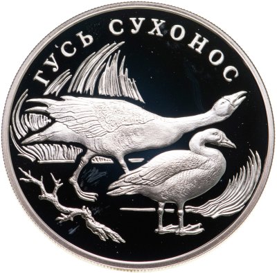 купить 1 рубль 2006 СПМД "Красная книга - гусь-сухонос"