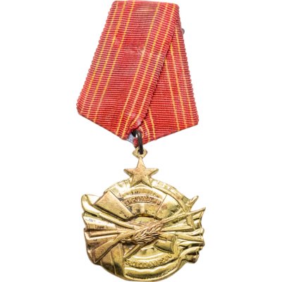 купить Югославия медаль "За Храбрость. Смерть фашизму - свобода народу"