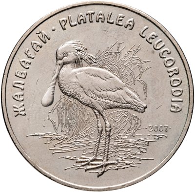 купить Казахстан 50 тенге 2007 Красная Книга - Колпица