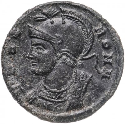 купить Римская Империя, Семья Константина I, 330–350 гг, фоллис (реверс: волчица, кормящая близнецов)