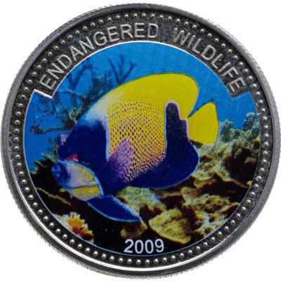 купить Палау 1 доллар (dollar) 2009 Вымирающие виды - Рыба-ангел"