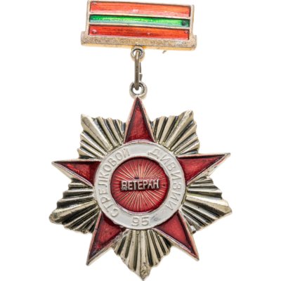 купить Значок "Ветеран 95й стрелковой дивизии"