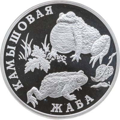 купить 1 рубль 2004 СПМД Proof "Красная книга - Камышовая жаба"