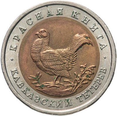 купить 50 рублей 1993 ЛМД Кавказский Тетерев - Красная Книга