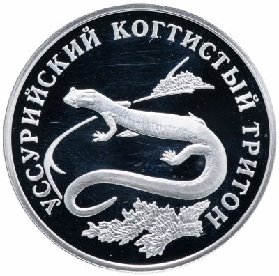 купить 1 рубль 2006 СПМД Proof уссурийский когтистый тритон