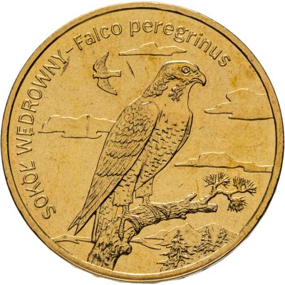 купить Польша 2 злотых 2008 "Животный мир Польши: Сокол Сапсан"
