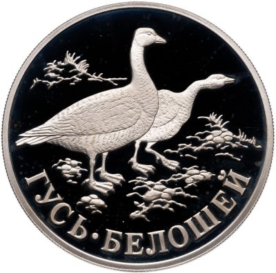 купить 1 рубль 1998 СПМД Proof "Красная книга Гусь-белошей"