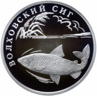 купить 1 рубль 2005 СПМД "Красная книга: волховский сиг"