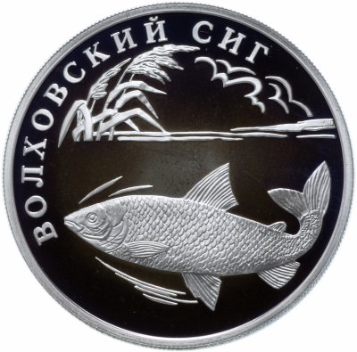 купить 1 рубль 2005 СПМД "Красная книга: волховский сиг"