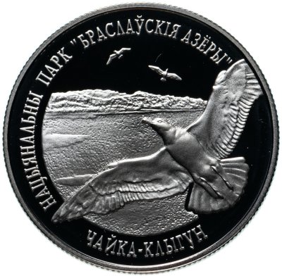 купить Беларусь 1 рубль 2003 Браславские озера - Чайка серебристая