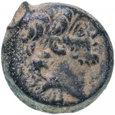 купить Селевкиды, Антиох IX Кизикский, 116-95 годы до Р.Х., АЕ19. сын Клеопатры Тея (пучок молний)