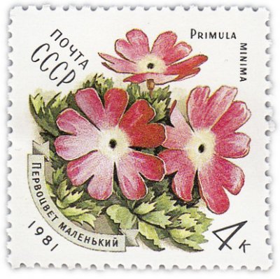 купить 4 копейки 1981 "Цветы Карпат: Маленький первоцвет"