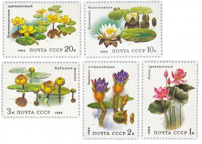 купить Полная серия 1984 "Водные растения" (5 марок)
