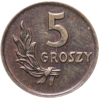 купить Польша 5 грошей (groszy) 1949 (бронза)