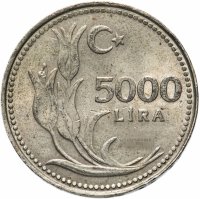 Купить Турция 5000 лир (lira) 1992-1994, случайная дата