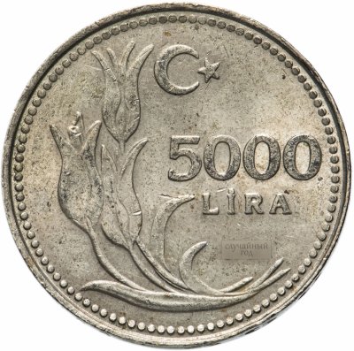 купить Турция 5000 лир (lira) 1992-1994, случайная дата